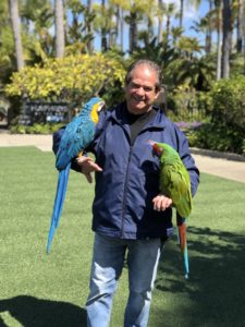 A man with two parrots